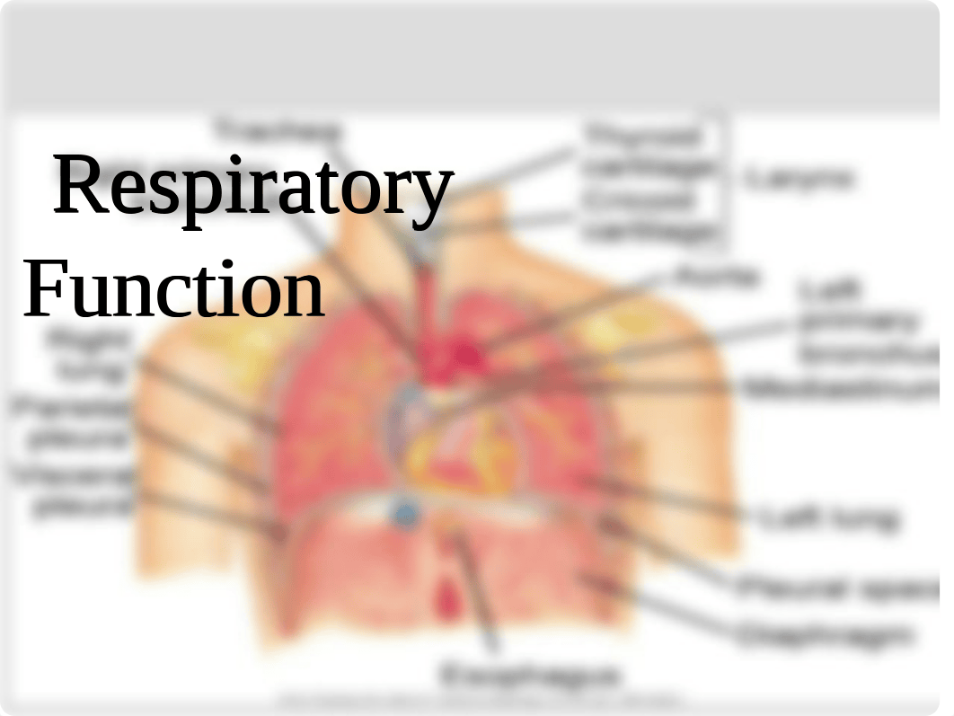 Respiratory Patho_d4j406ilxbl_page1