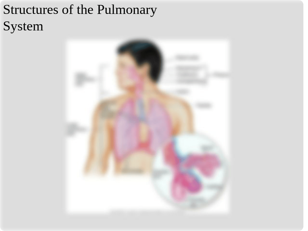 Respiratory Patho_d4j406ilxbl_page3