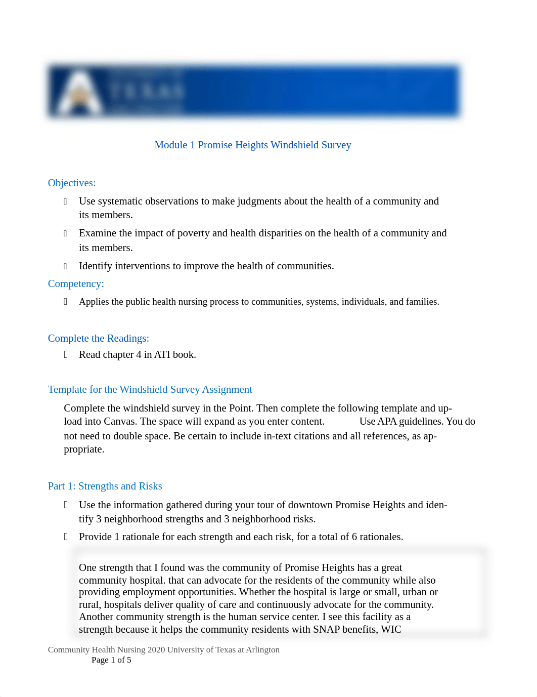 Moodule 1 Windshield Survey.docx_d4j9owi8lyq_page1