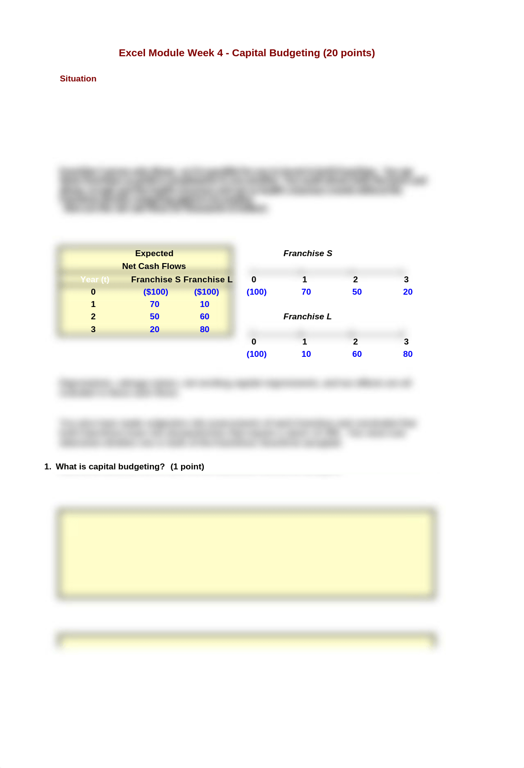 Wk 5 Excel Module - Capital Budgeting.xlsx_d4j9s5aexmx_page1