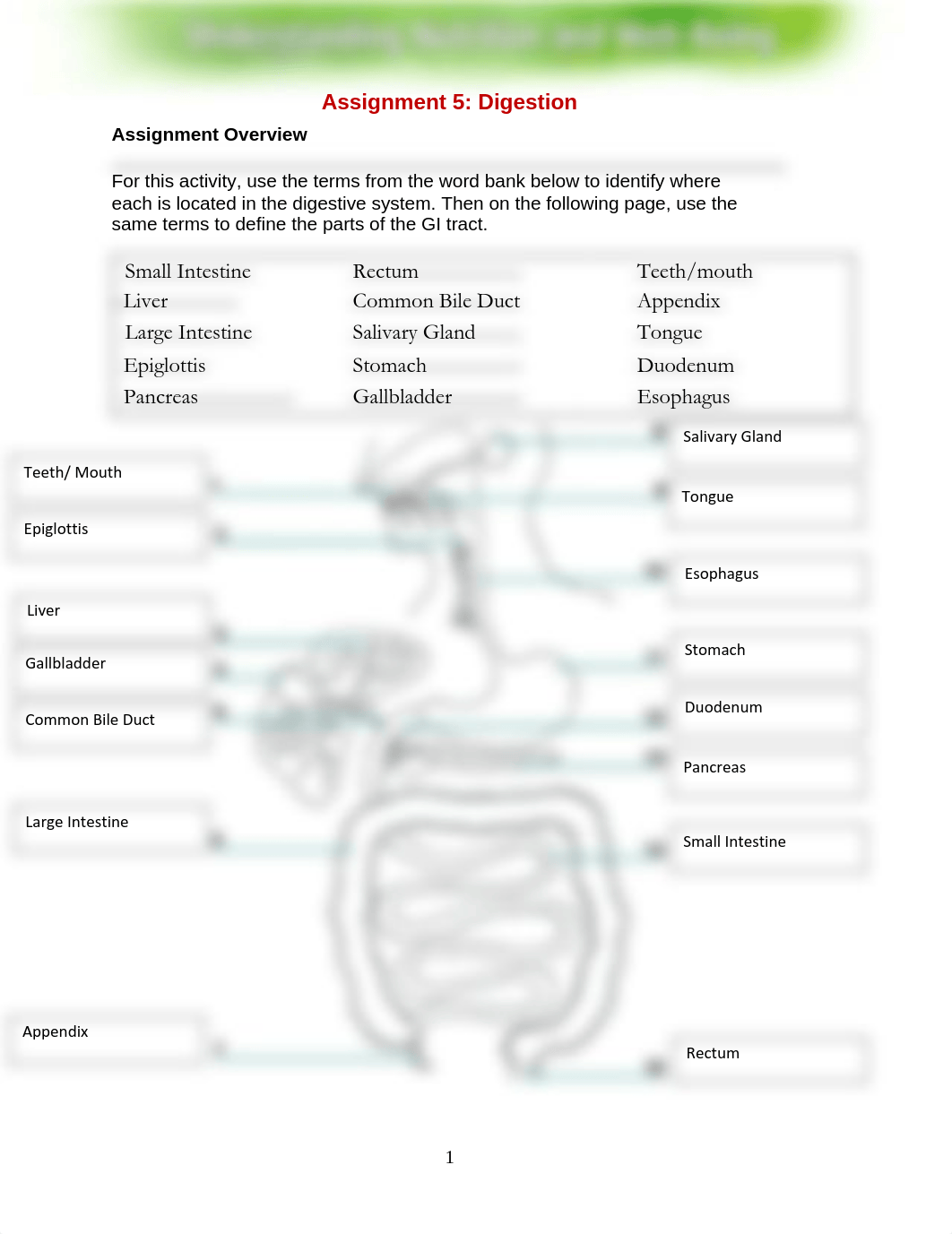 DigestionWorksheet2.pdf_d4jbq582vwo_page1