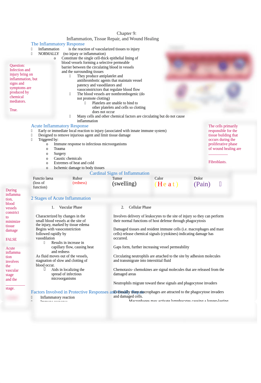 Chapter 9 Inflammation.docx_d4jbyhsry0a_page1