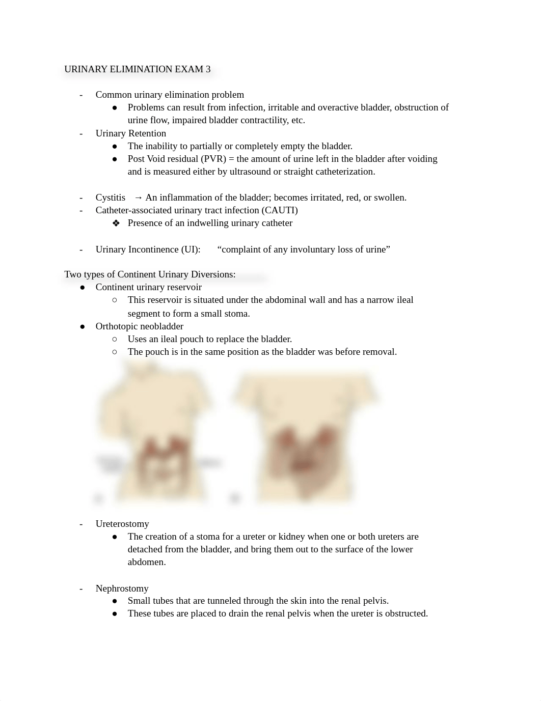 NUR 321 Urinary Elimination EXAM 3.docx_d4jenu83523_page1