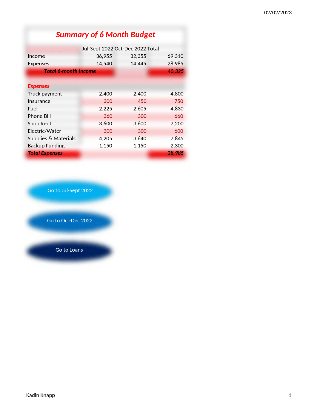 KNAPP Budget.xlsm_d4jgy40rkfr_page1