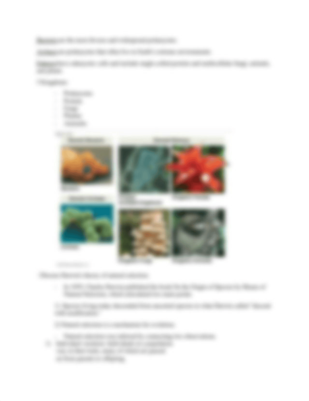 BIOLOGY TEST 1 STUDY GUIDE.docx_d4jt6os9u50_page3