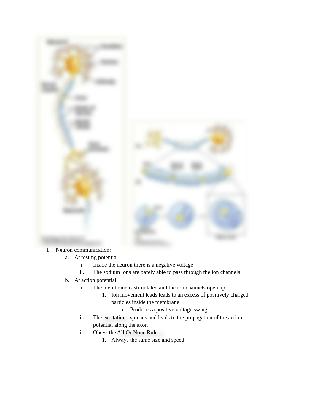 Intro to Psychology Test Review (1) (1).docx_d4k1zv725jh_page3