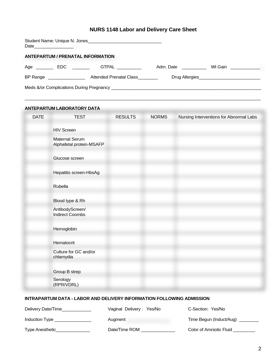 Labor and Delivery Care Sheet (3).doc_d4kcnkt7x0g_page2