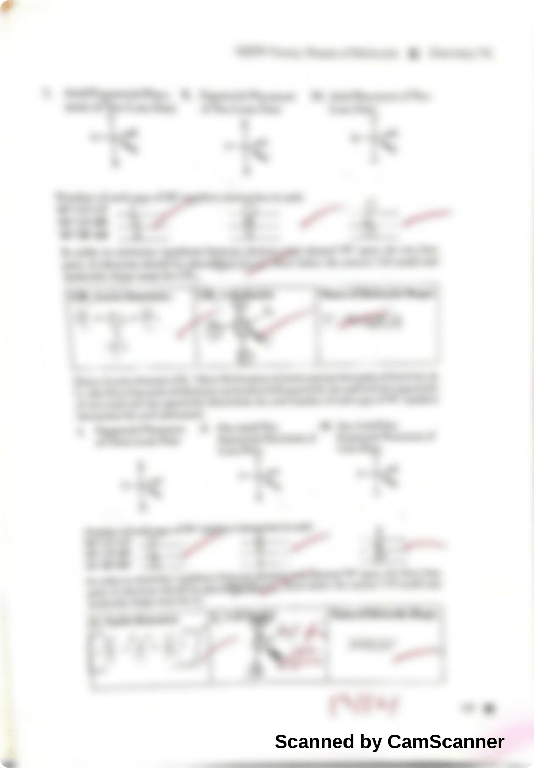 VSEPR Theory Practice_d4khsxjxomt_page1