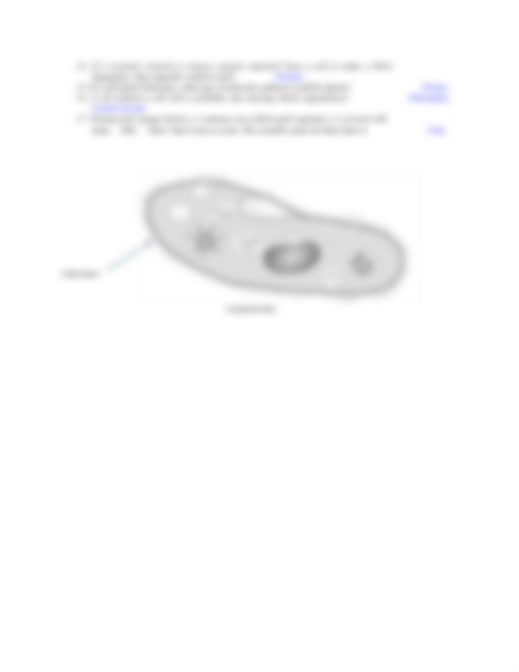 Answer Key_Exercise 4_Functions and Properties of Cells (1).docx_d4khzbw3ygh_page2