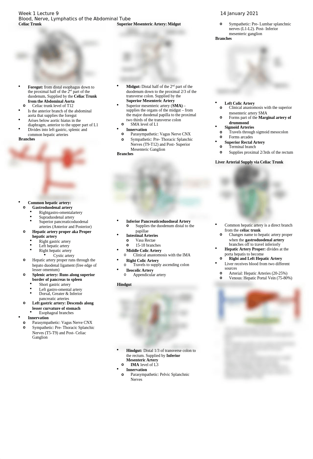 WK_1_LO_9_Blood_Nerves_Lymph_Abdominal_Tube.docx_d4kjaxym3f9_page1