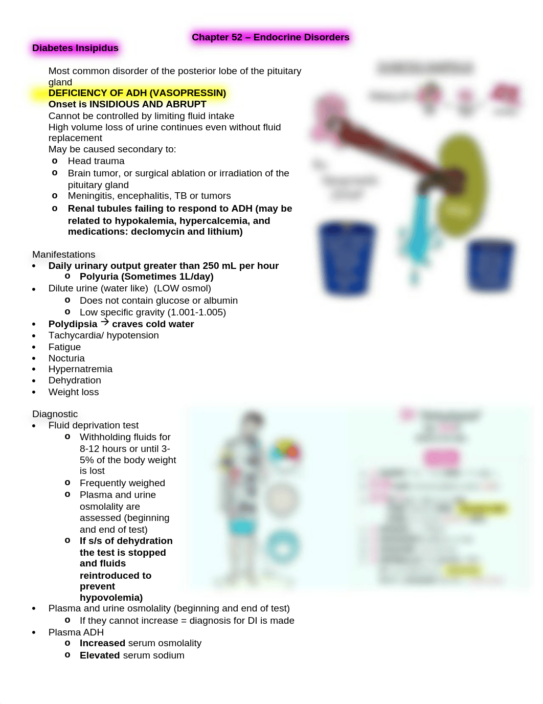 Chapter 52 Endocrine.docx_d4kji7y4id8_page1