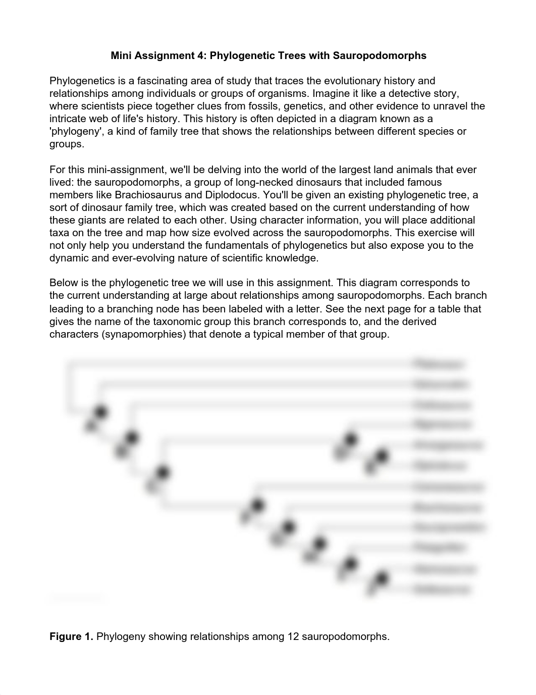 MiniAssignment4_Phylogenetic Trees with Sauropodomorphs.pdf_d4kn2hcy37e_page1