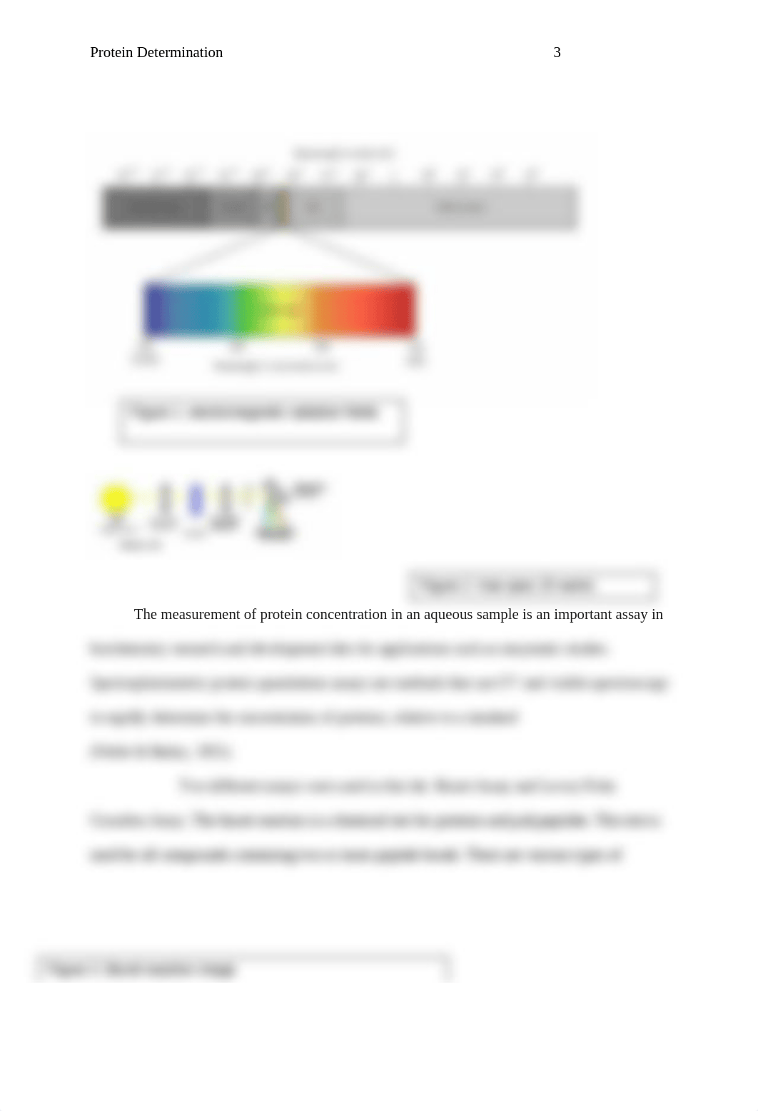 Protein Determination biochm revised2.docx_d4koytyaab2_page3