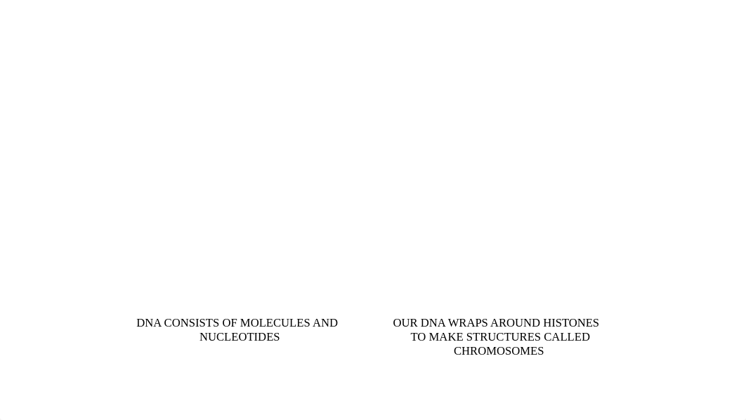 FINAL TELOMERE LENGTH PRES.pptx_d4kvoofgcms_page4