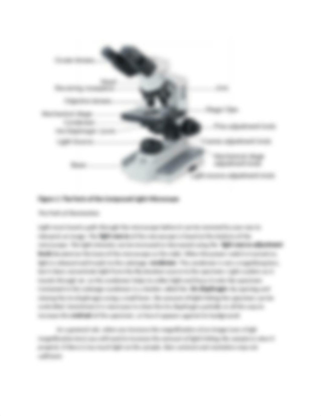 Lab 2 -Introduction to the Microscope_d4kw2amkmnb_page2