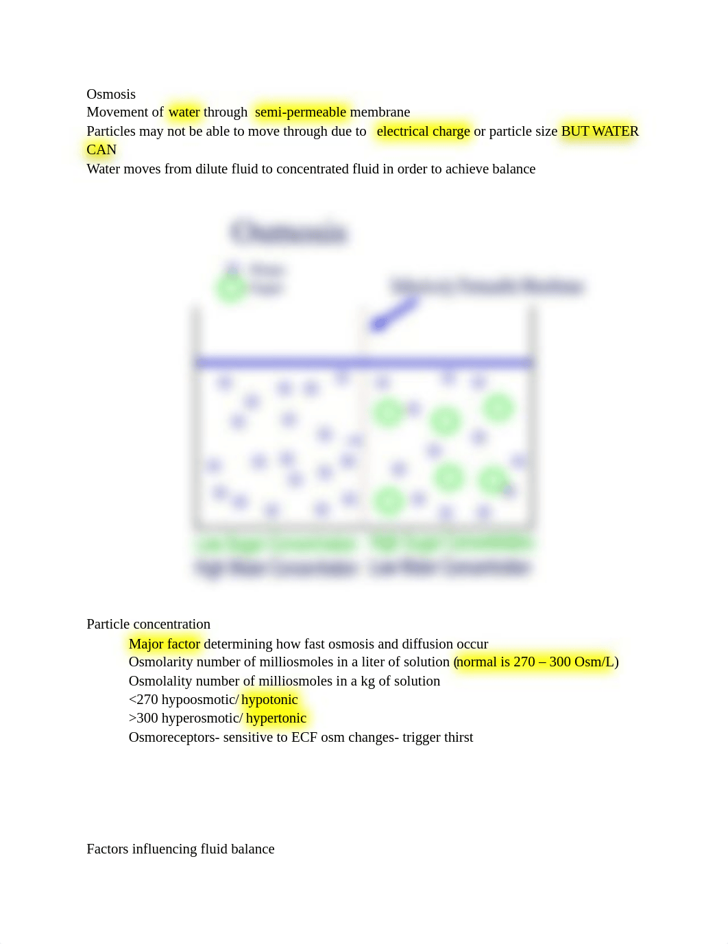 Fluids and electrolytes.docx_d4l2dv7l037_page3