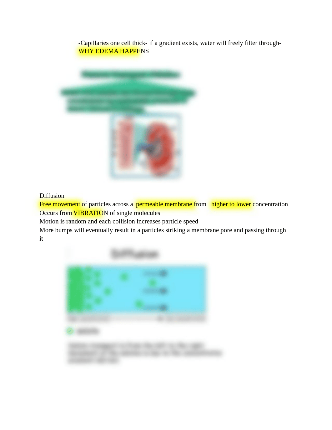 Fluids and electrolytes.docx_d4l2dv7l037_page2