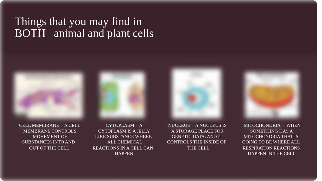 Plant Cells vs Animal Cells.pptx_d4l3hy18mxc_page4