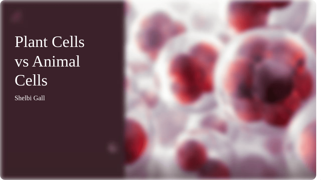 Plant Cells vs Animal Cells.pptx_d4l3hy18mxc_page1