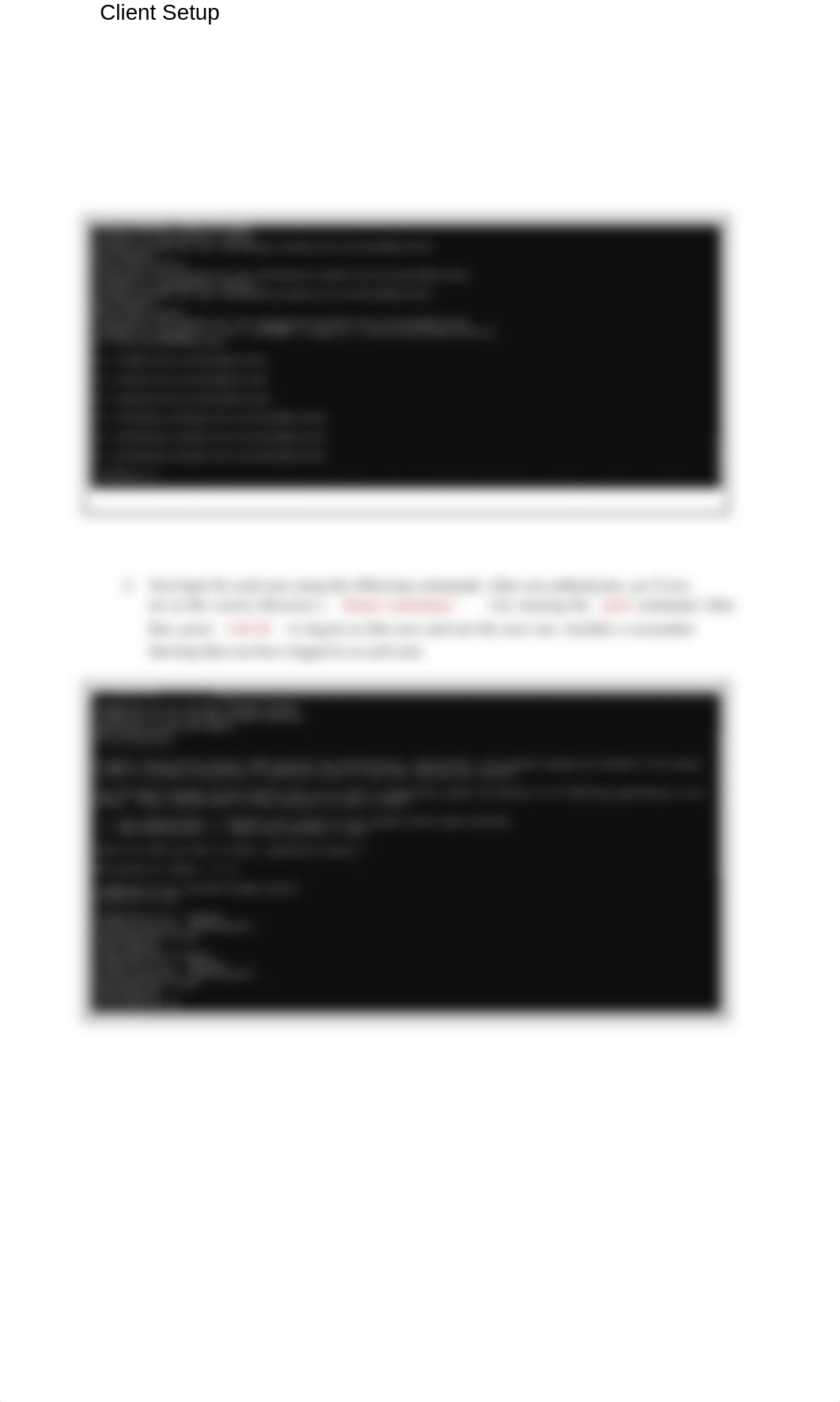 LDAP Report.docx_d4l6rfwmu77_page3