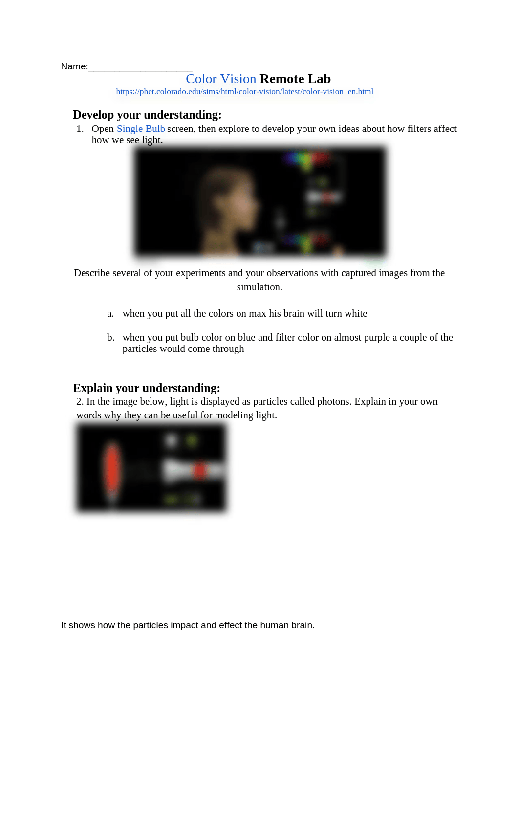 Color_Vision_Remote_Lab.pdf_d4l8akoxvq6_page1