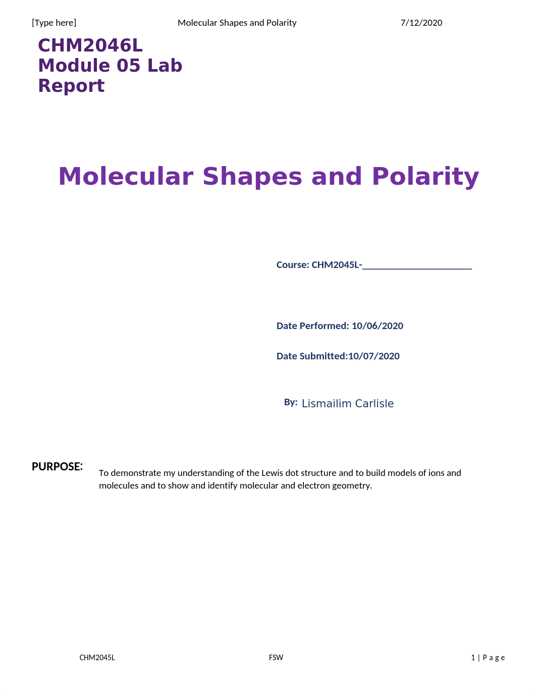 2045L_Module_05_Shapes_Polarity_Report (1).docx_d4lcyhjp8gu_page1