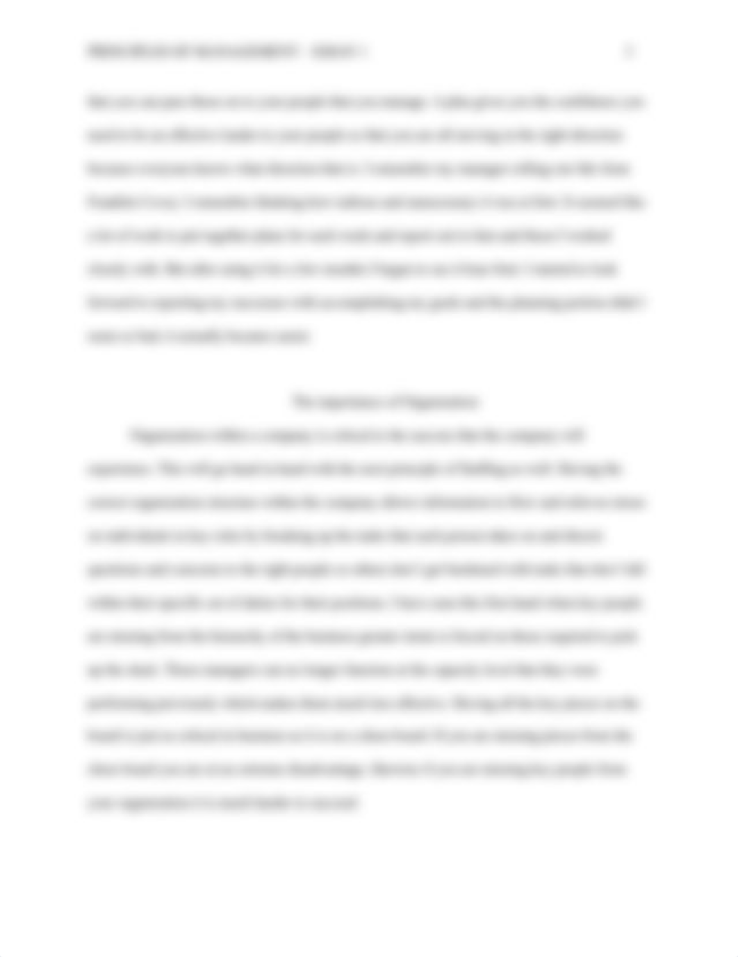 Principles of Management - Essay 1.doc_d4lhfpr7prx_page3