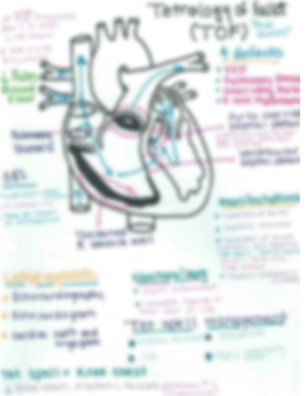 tetrology of fallot_d4lp94ogxu6_page1