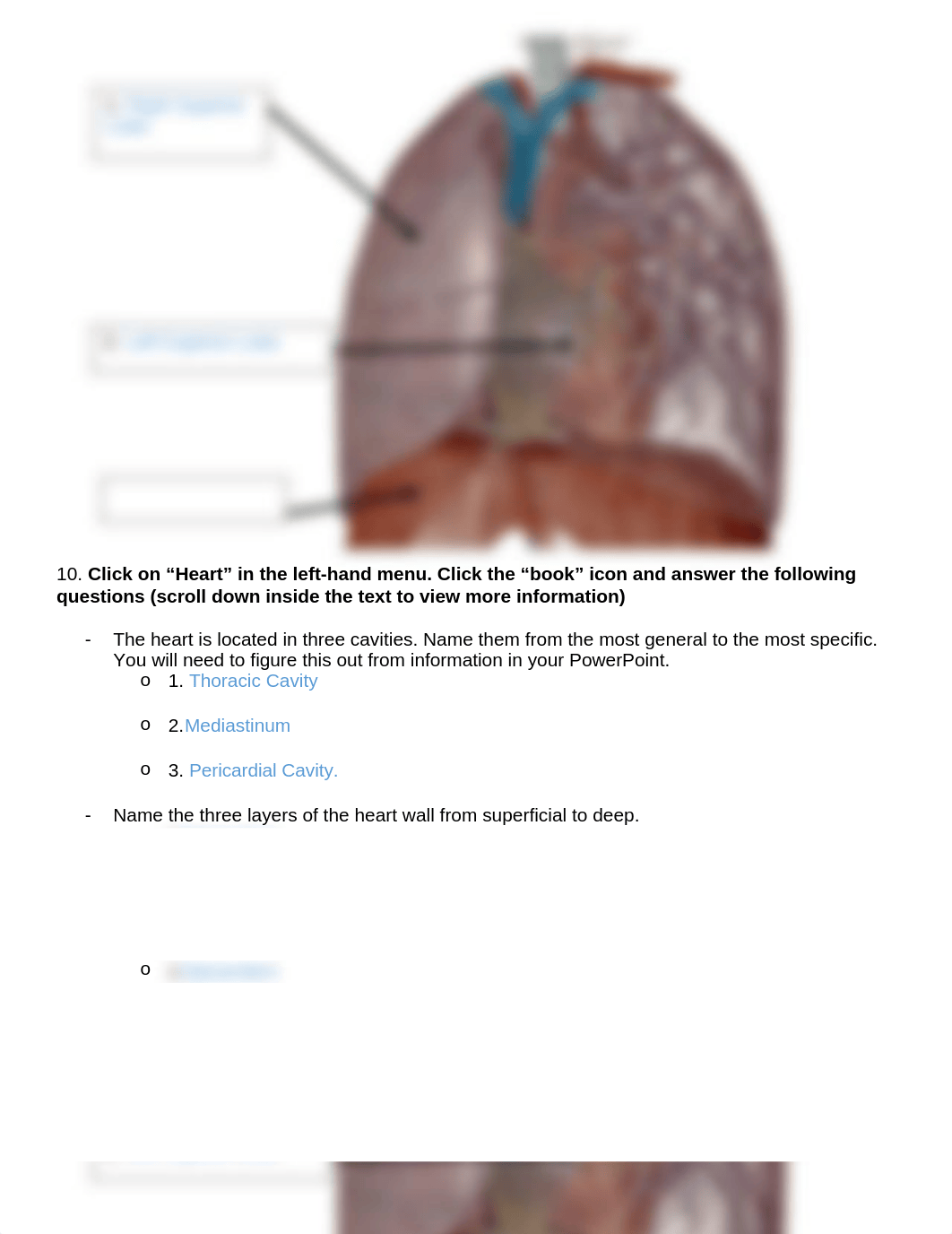 Lab 2 heart answers .docx_d4lpi5eiseg_page2