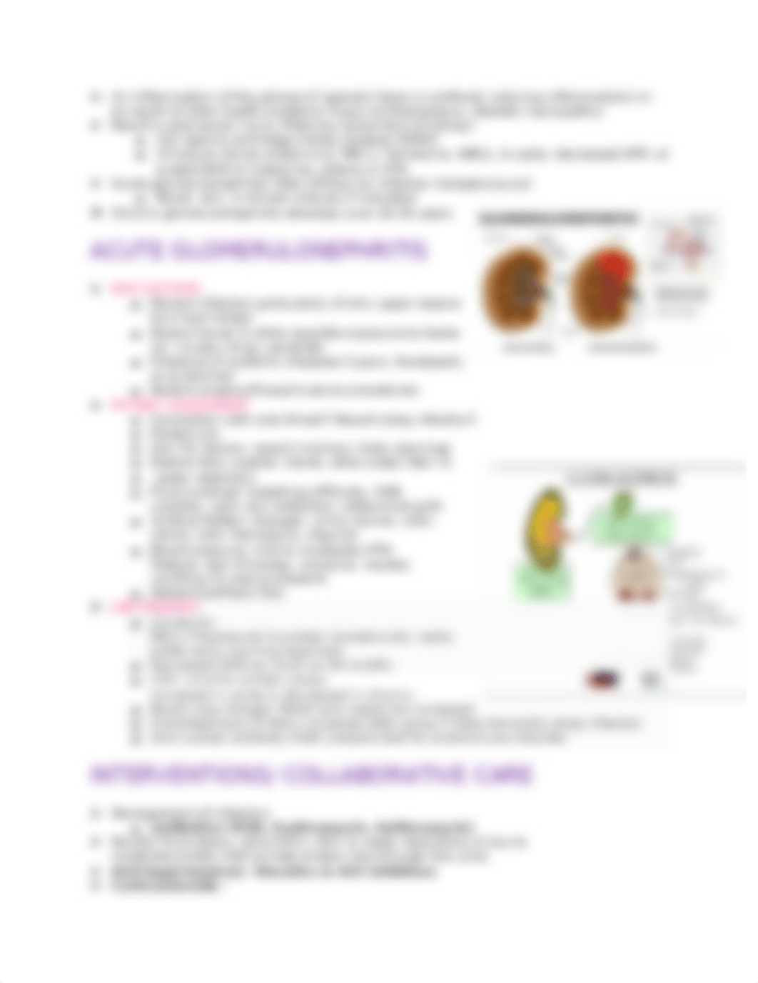 THE RENAL SYSTEM.docx_d4lqv8810hx_page3