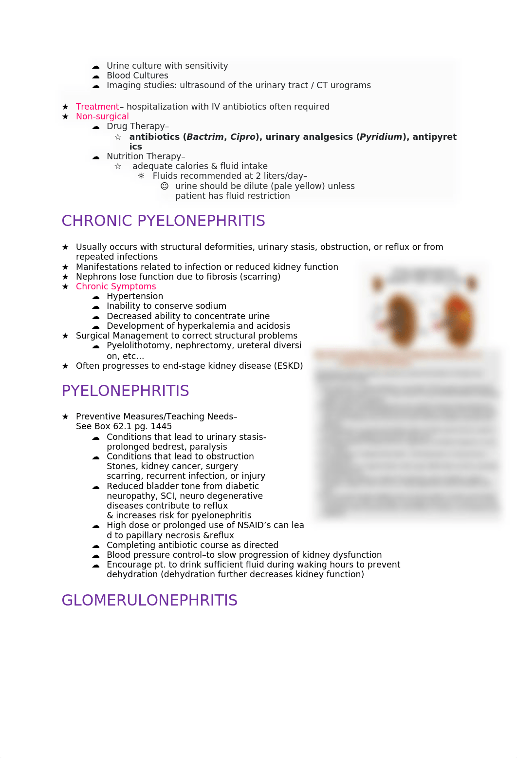 THE RENAL SYSTEM.docx_d4lqv8810hx_page2