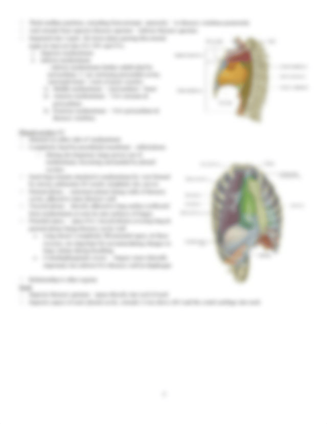 *****Gross exam 1, thorax ch 3(1)_d4m19dww853_page3