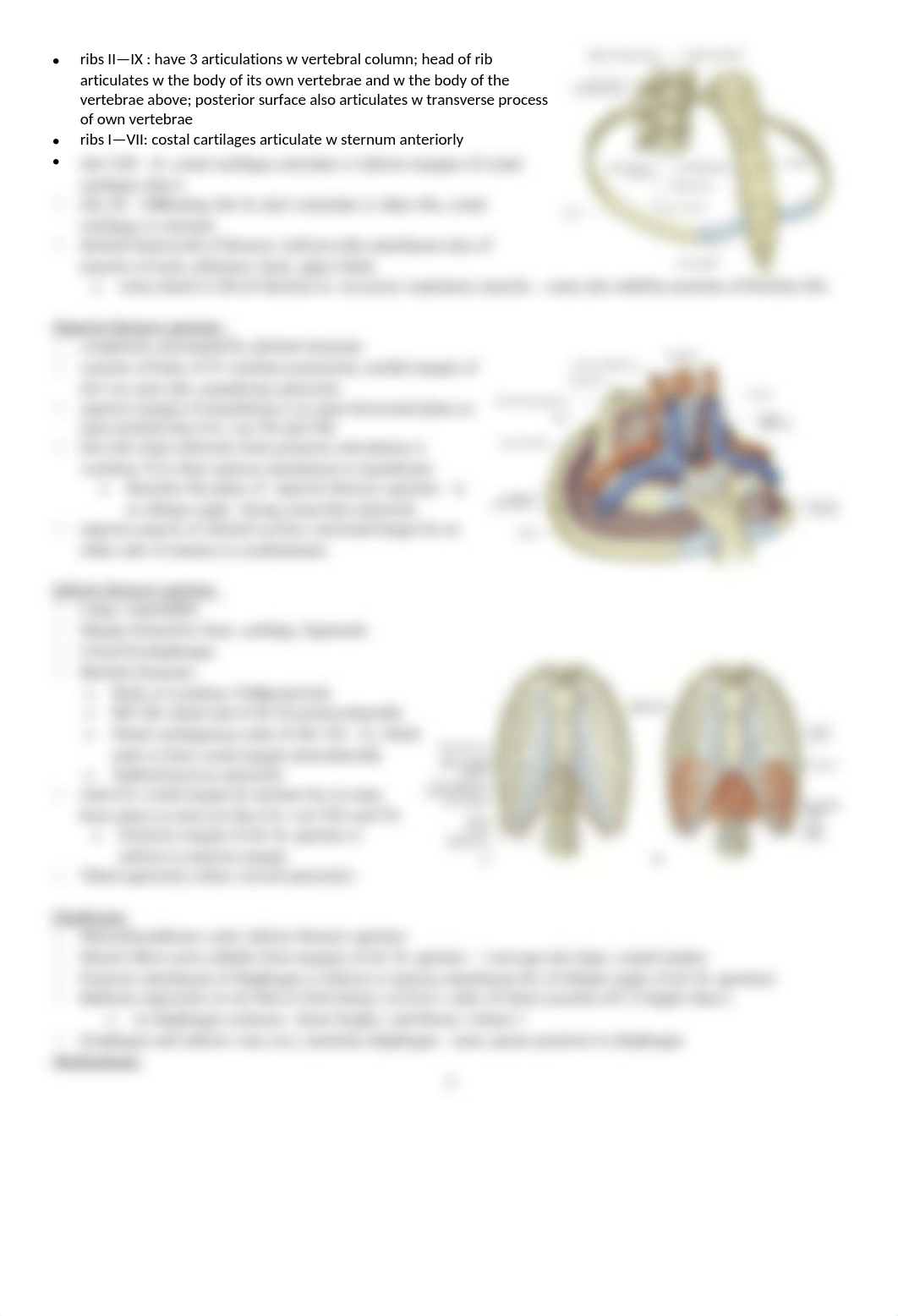 *****Gross exam 1, thorax ch 3(1)_d4m19dww853_page2