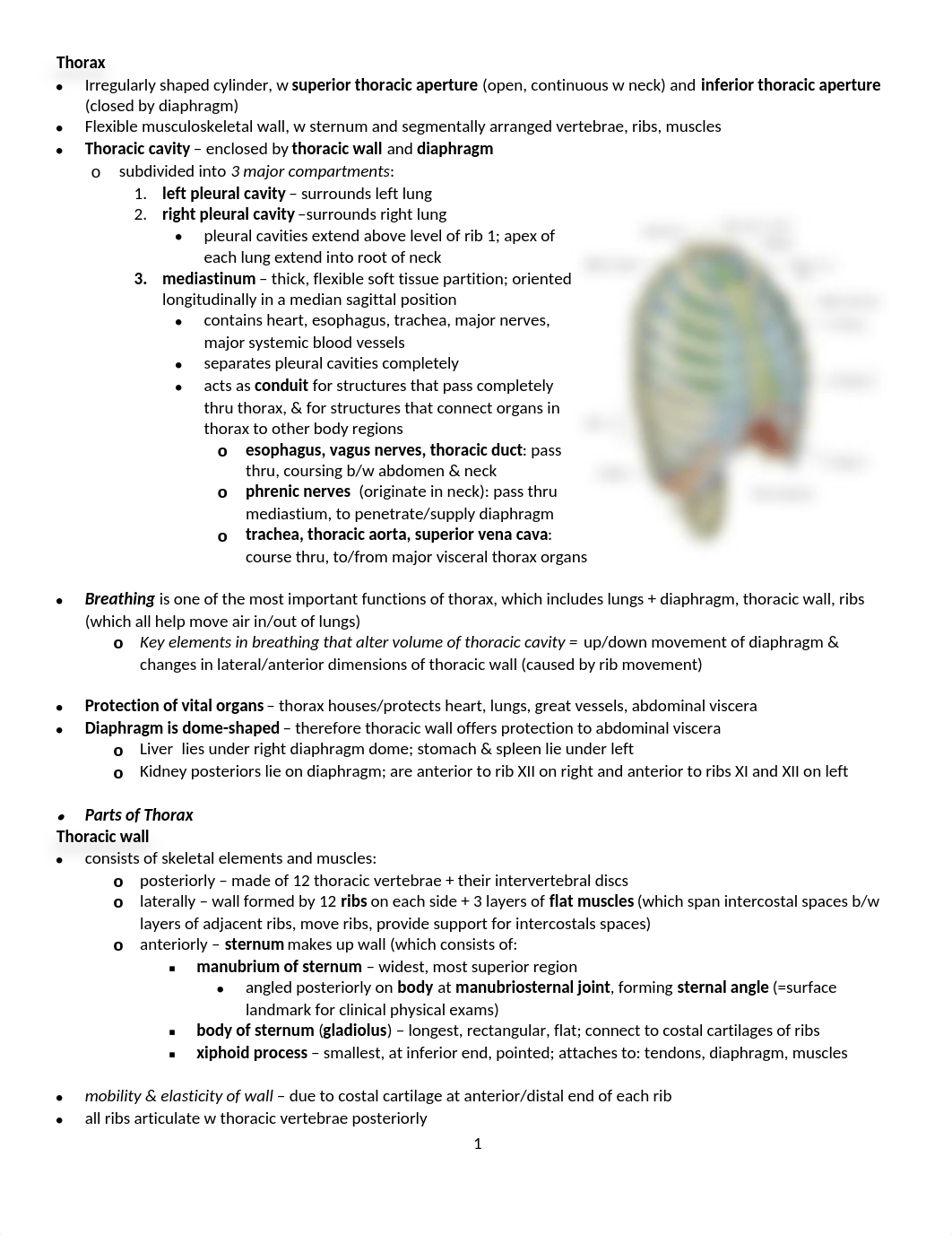 *****Gross exam 1, thorax ch 3(1)_d4m19dww853_page1