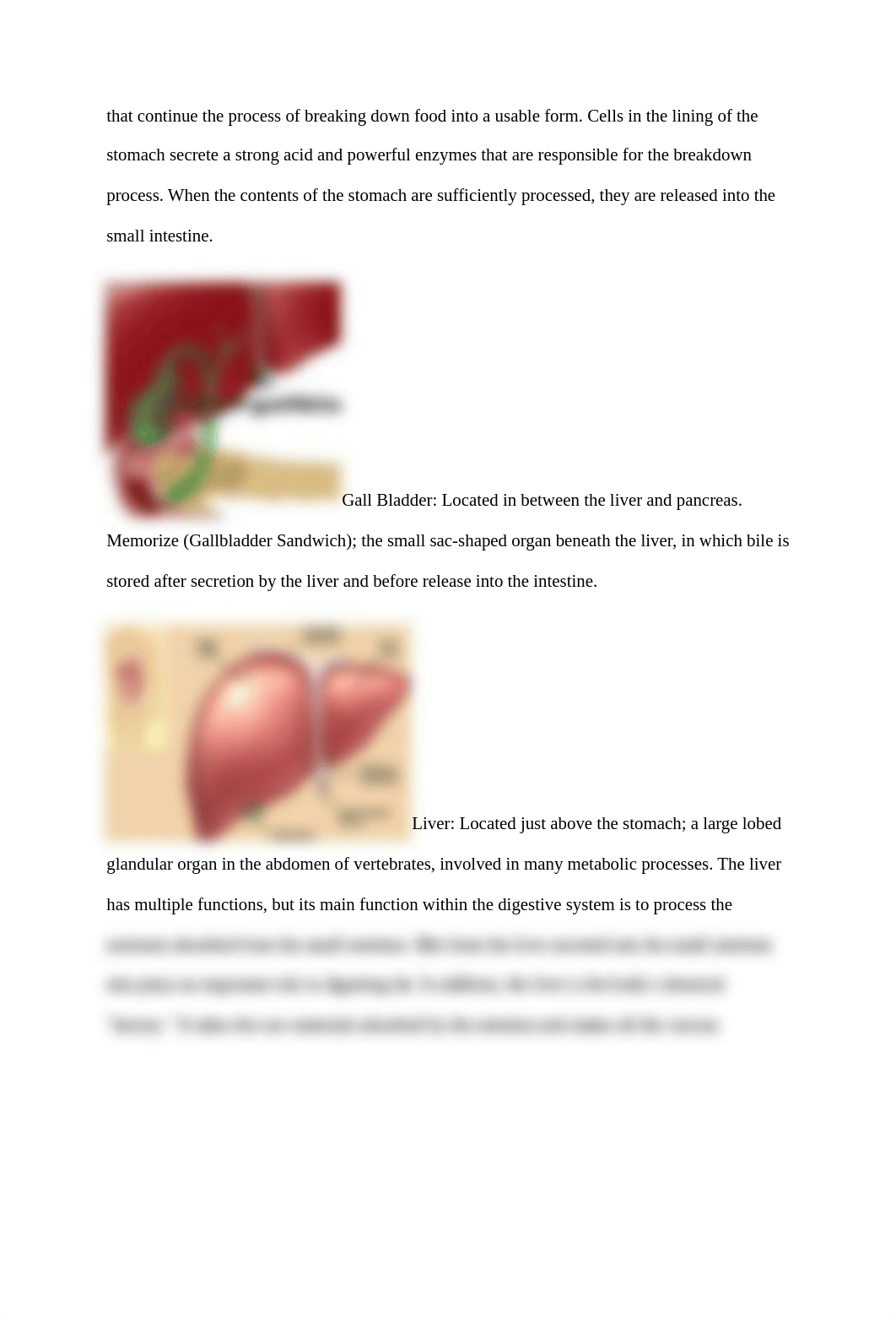 Rialon_Wk1_Digestive System Lab.docx_d4m1llnuklv_page4