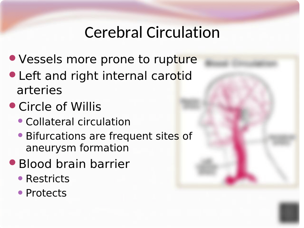 Neurological Disorders Student Version.pptx_d4m3zyp3pex_page5