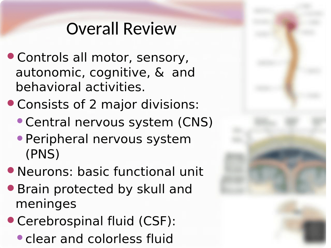 Neurological Disorders Student Version.pptx_d4m3zyp3pex_page3