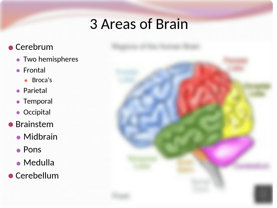 Neurological Disorders Student Version.pptx_d4m3zyp3pex_page4