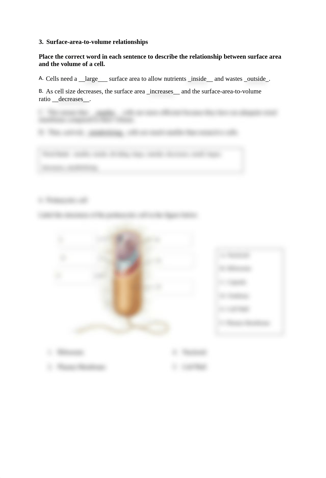 Cell Basics Worksheet - Anna Gann.docx_d4m9yx6pncc_page2