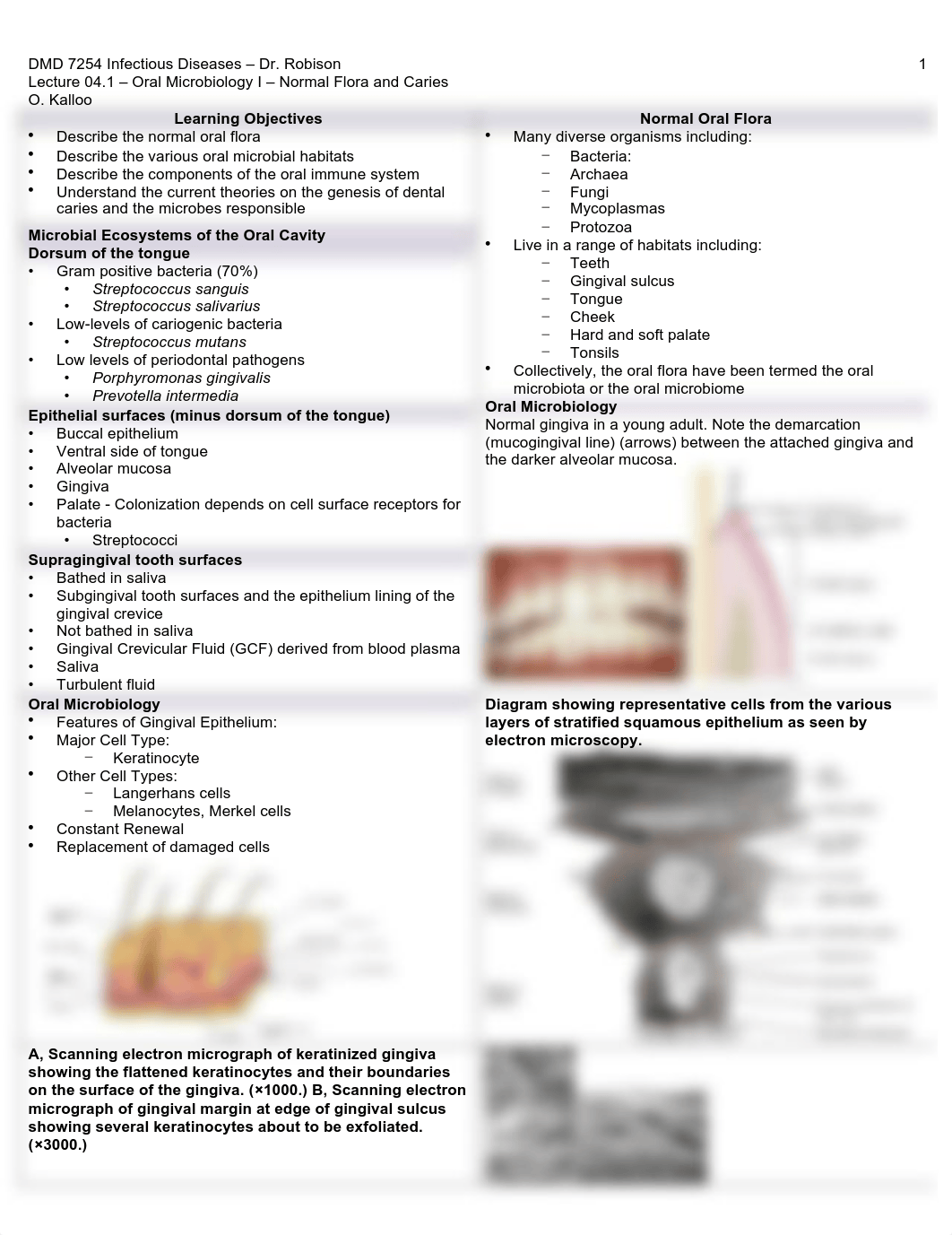 Infectious Diseases Lecture 4.1 Oral Microbiology I.pdf_d4mjcv6wma8_page1