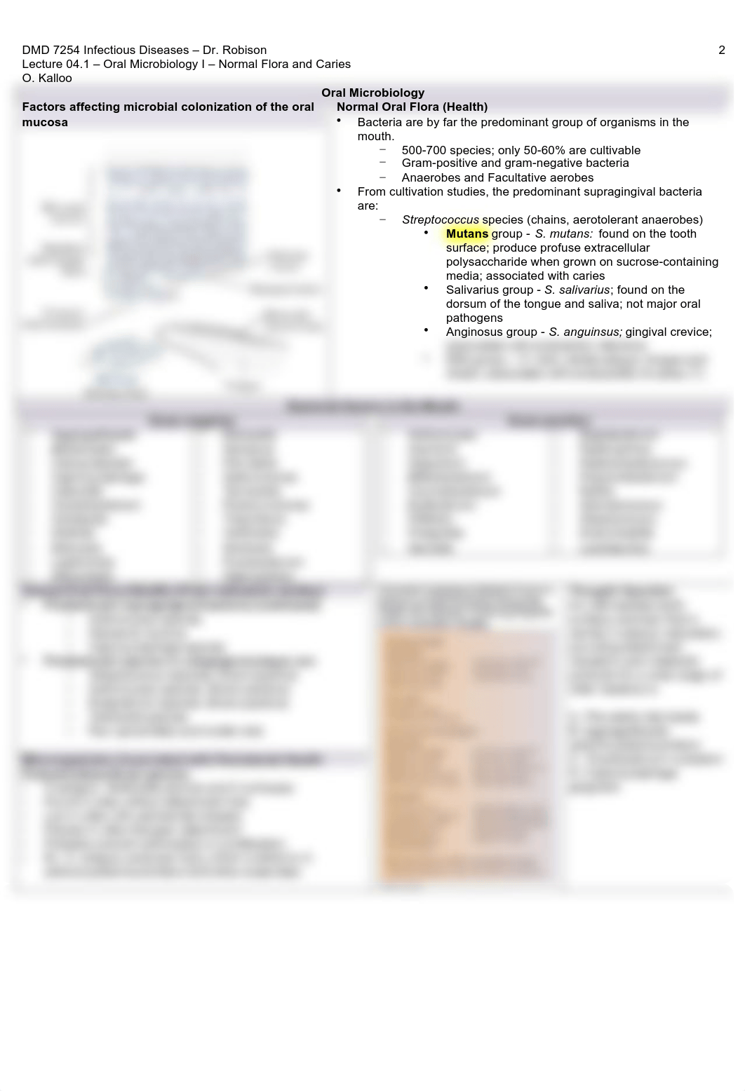 Infectious Diseases Lecture 4.1 Oral Microbiology I.pdf_d4mjcv6wma8_page2