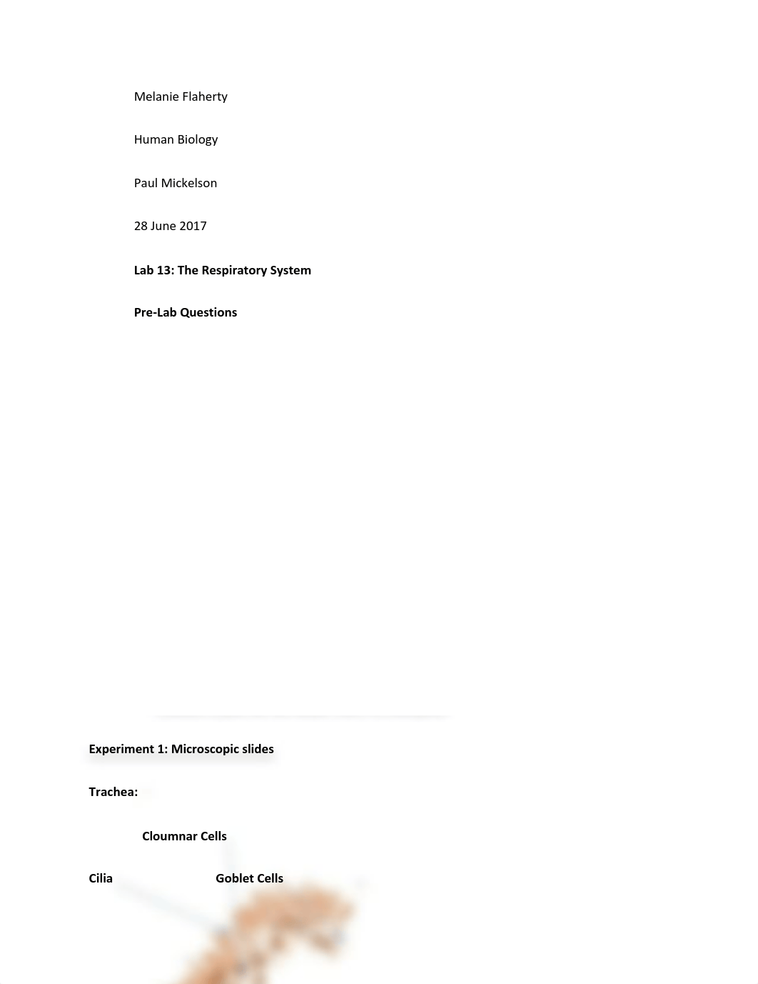 Lab 13 and 16.pdf_d4mjf4gyhja_page1