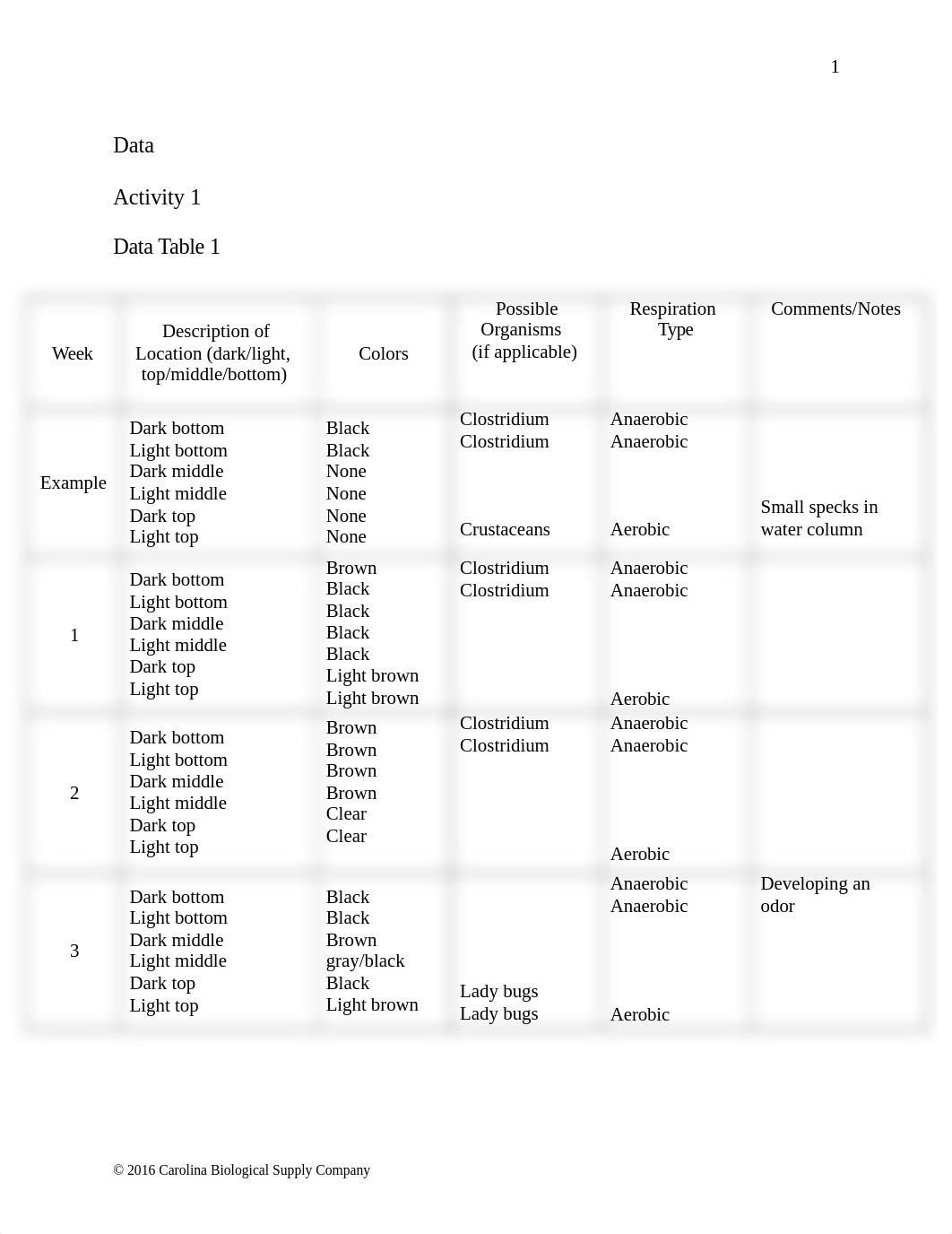 Ecological Succession - Lab Report.docx_d4mr2at6w1p_page2