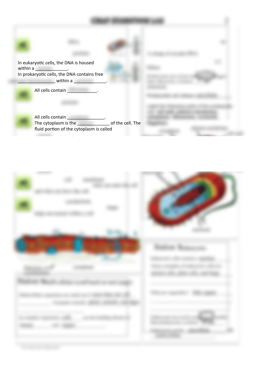 Cells_Exhibition_Stations_Student_Sheet.pdf_d4msp1r6eem_page2