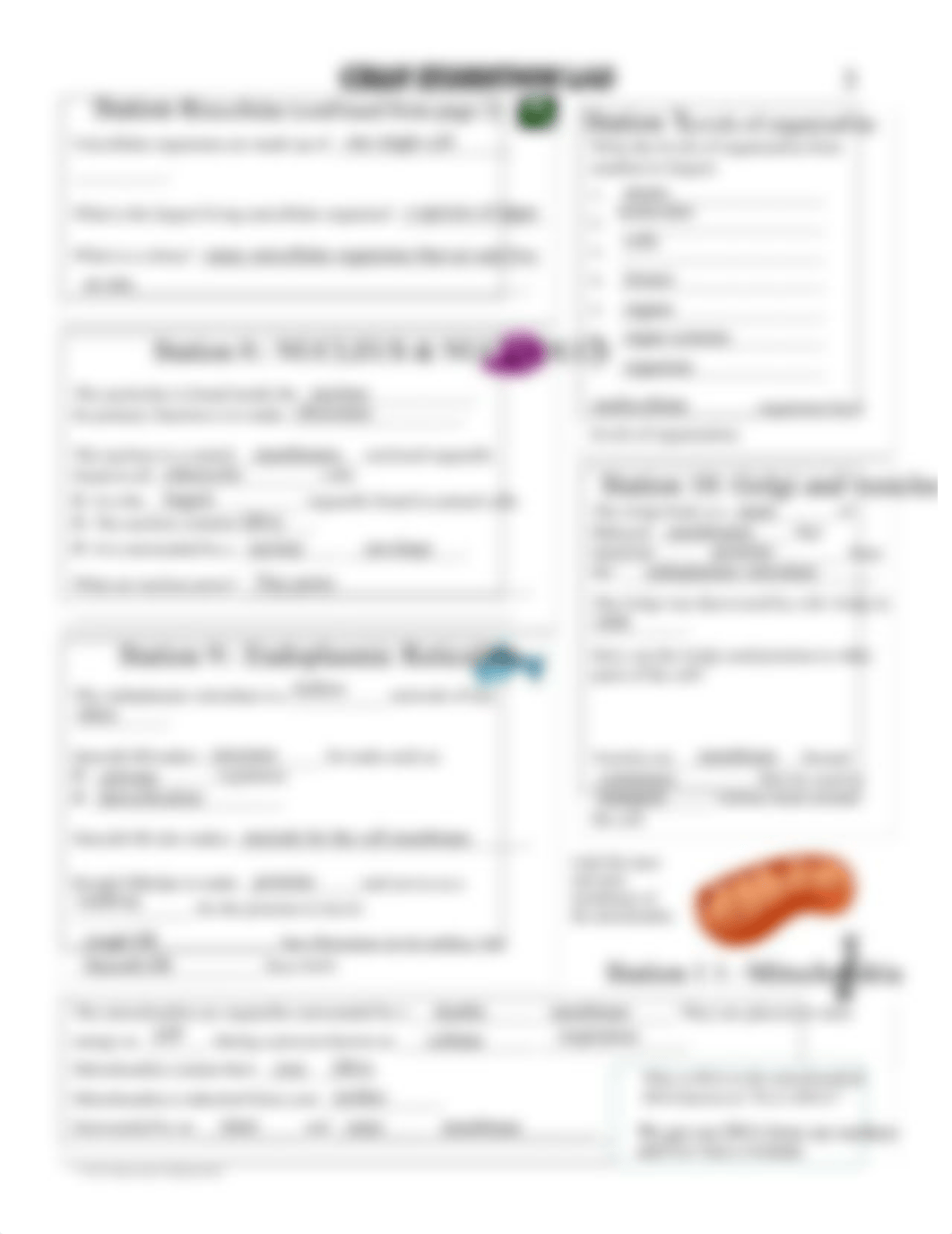 Cells_Exhibition_Stations_Student_Sheet.pdf_d4msp1r6eem_page3