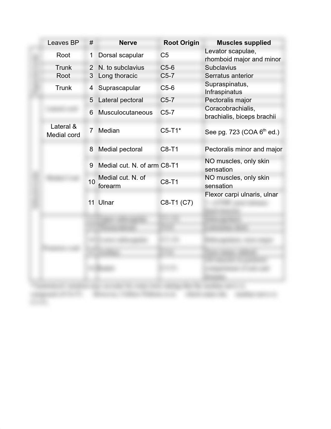 Bracial Plexus .pdf_d4mv0b589q7_page1