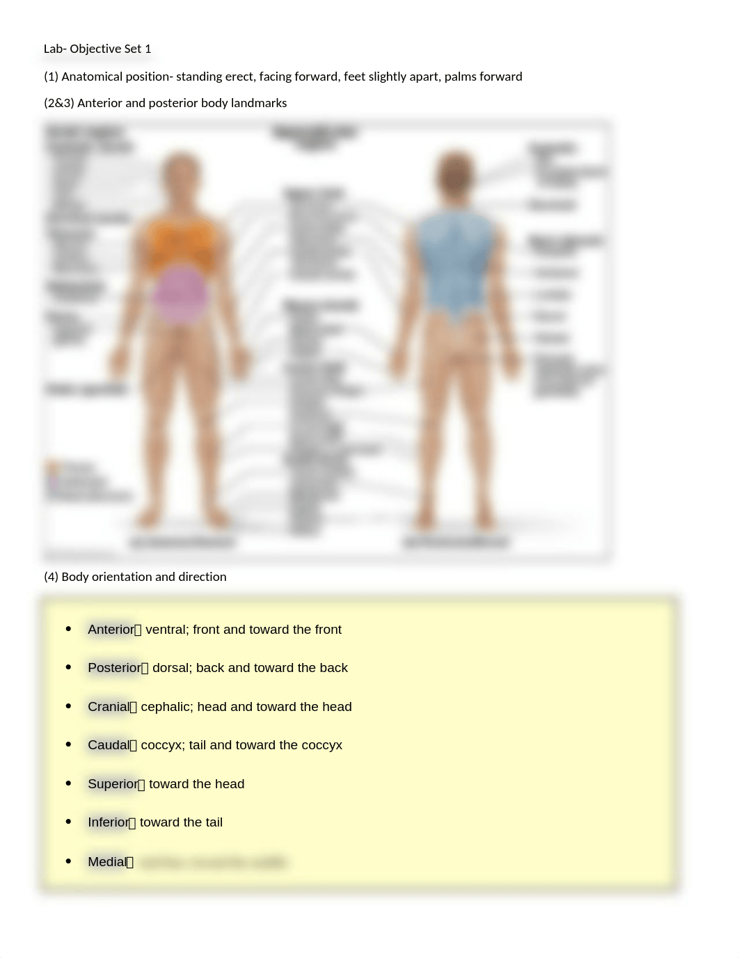 A&P Lab Objective Set 1_d4n0n0kl6id_page1