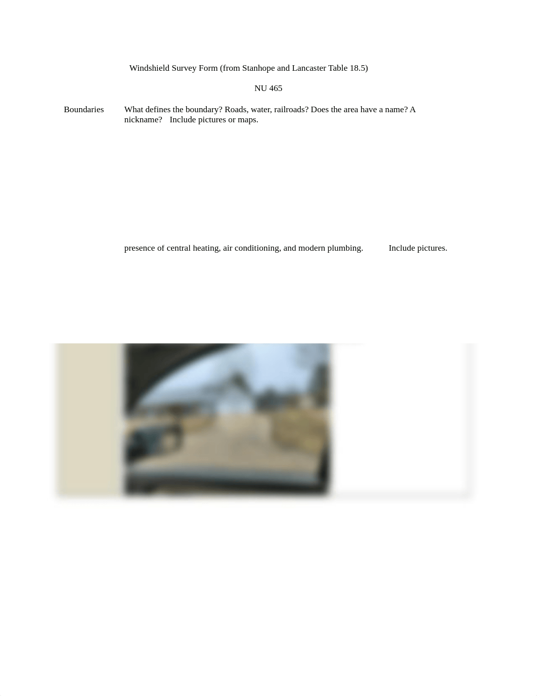 Windshield Survey Form.docx_d4n8x51ooo6_page1