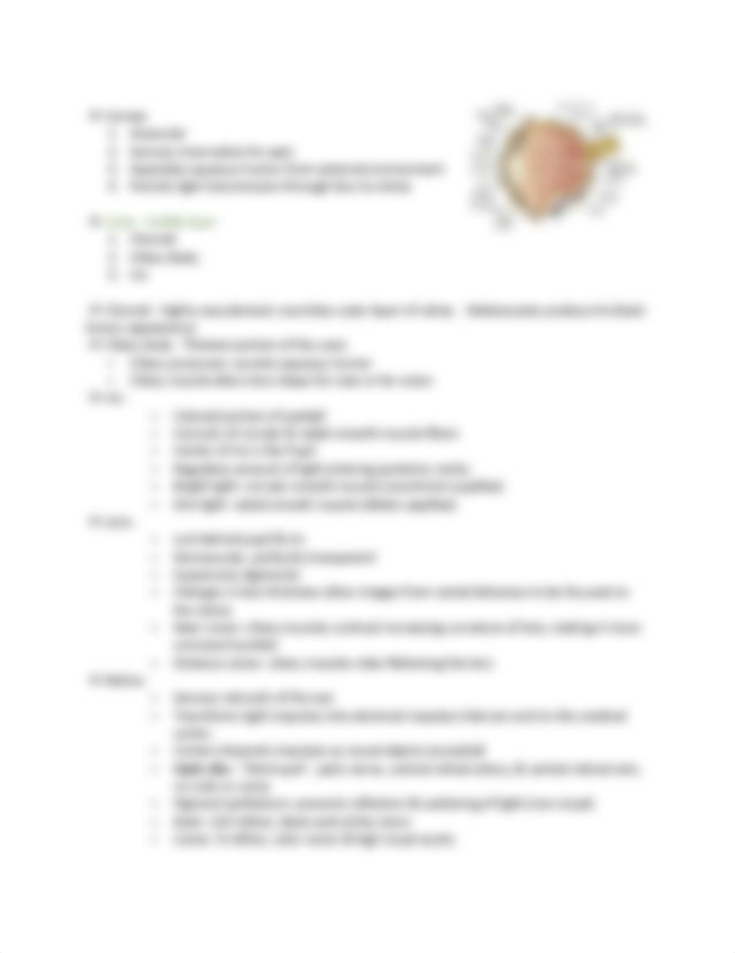 Eyes study guide.pdf_d4nenmg39hz_page4