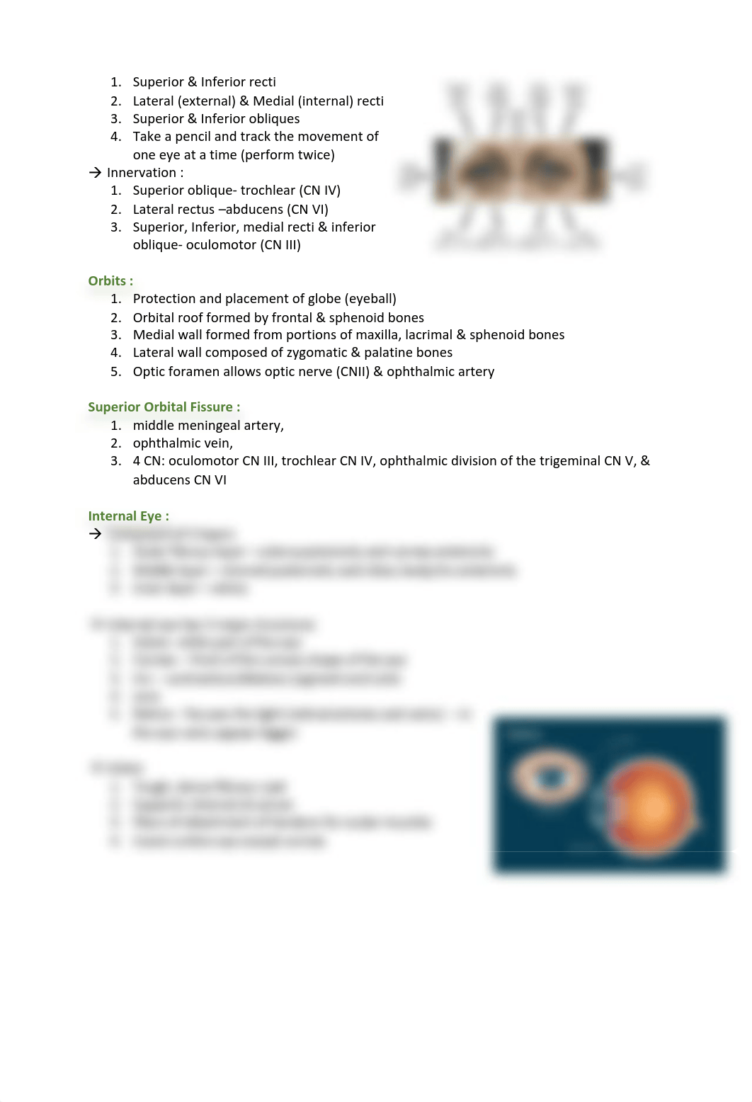 Eyes study guide.pdf_d4nenmg39hz_page3